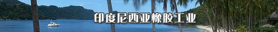印度尼西亞橡膠工業(yè)