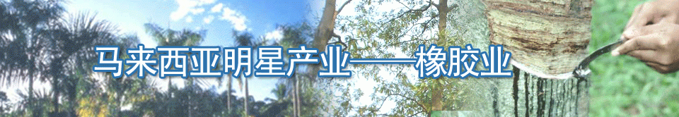 馬來西亞明星產(chǎn)業(yè)