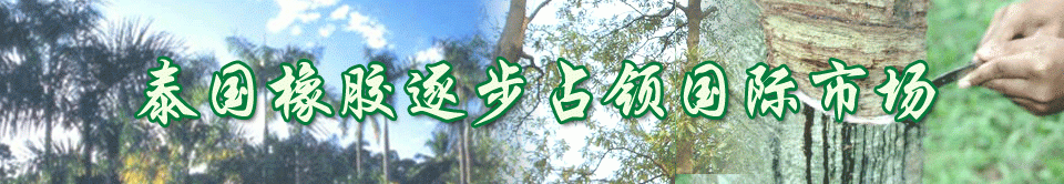 泰國(guó)橡膠逐步占領(lǐng)國(guó)際市場(chǎng)