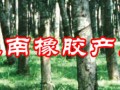越南橡膠產(chǎn)業(yè)后勁十足