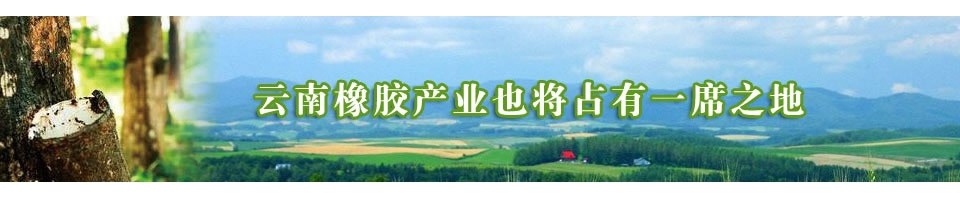 云南橡膠產(chǎn)業(yè)也將占有一席之地