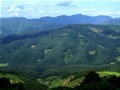 越南橡膠業(yè)的發(fā)展前景