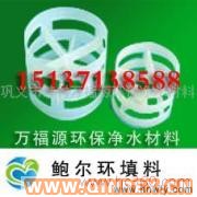 供應河南鮑爾環(huán) 鮑爾環(huán)填料