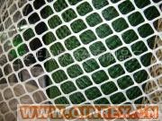 供應(yīng)聚乙烯塑料平網(wǎng)