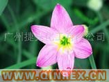 供應耐高溫潤滑劑PETS