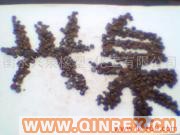 供應(yīng)出售古馬龍樹脂